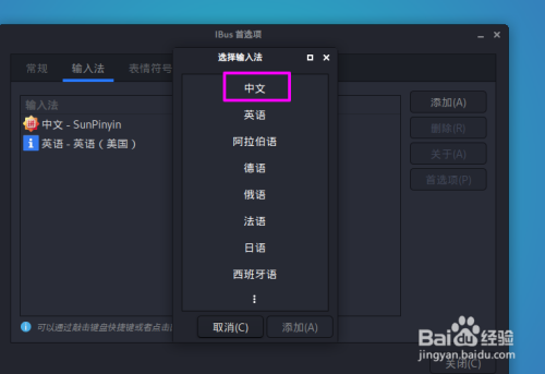 ibus客户端bilibili官网网页入口