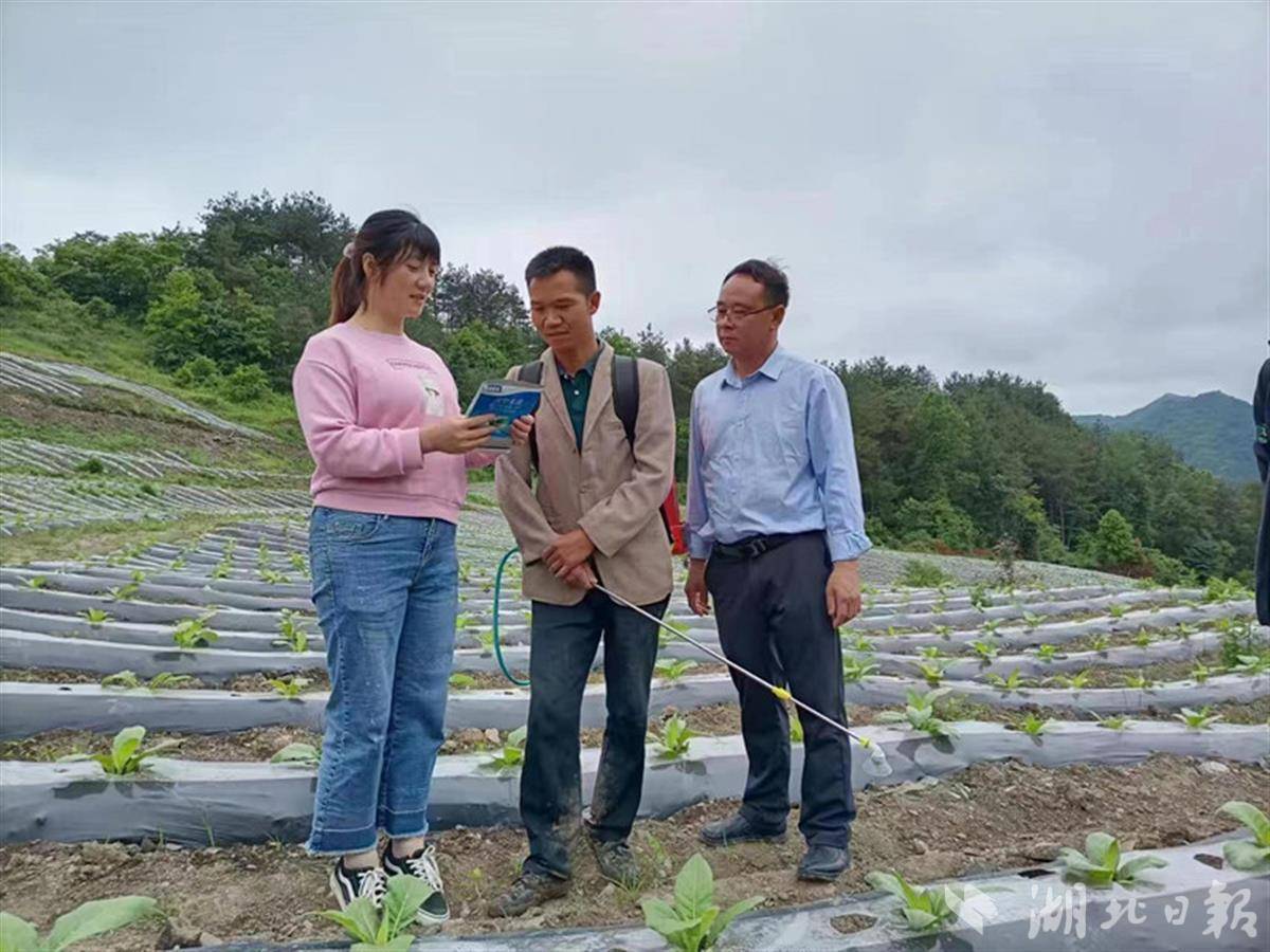 竹山网客户端今日竹山网官网
