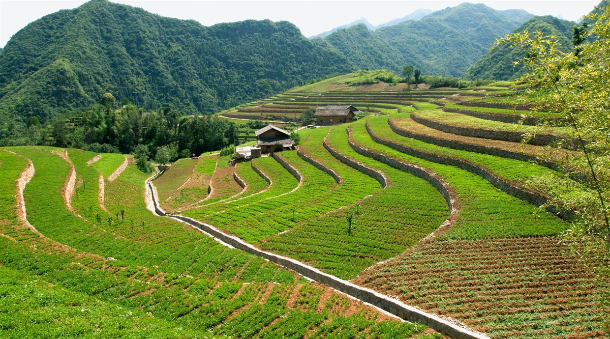 竹山网客户端今日竹山网官网-第2张图片-太平洋在线下载