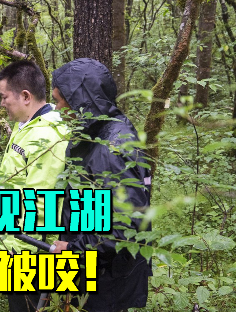 手机版侠盗怎么召唤小弟侠盗飞车罪恶都市召唤小弟