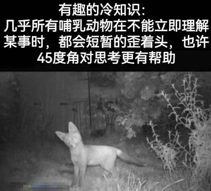 歪趣苹果版哔哩哔哩苹果电脑版-第1张图片-太平洋在线下载