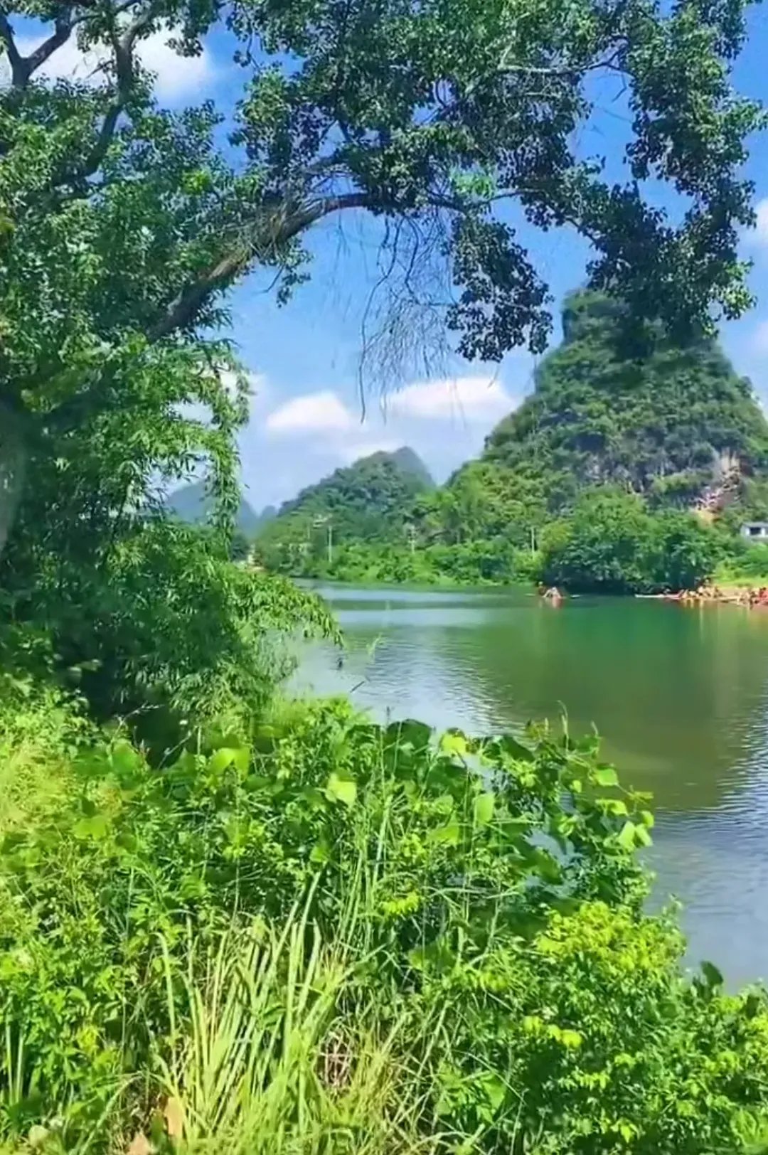 手机版有繁茂洞林吗逆水寒手游隐翠洞怎么打-第2张图片-太平洋在线下载