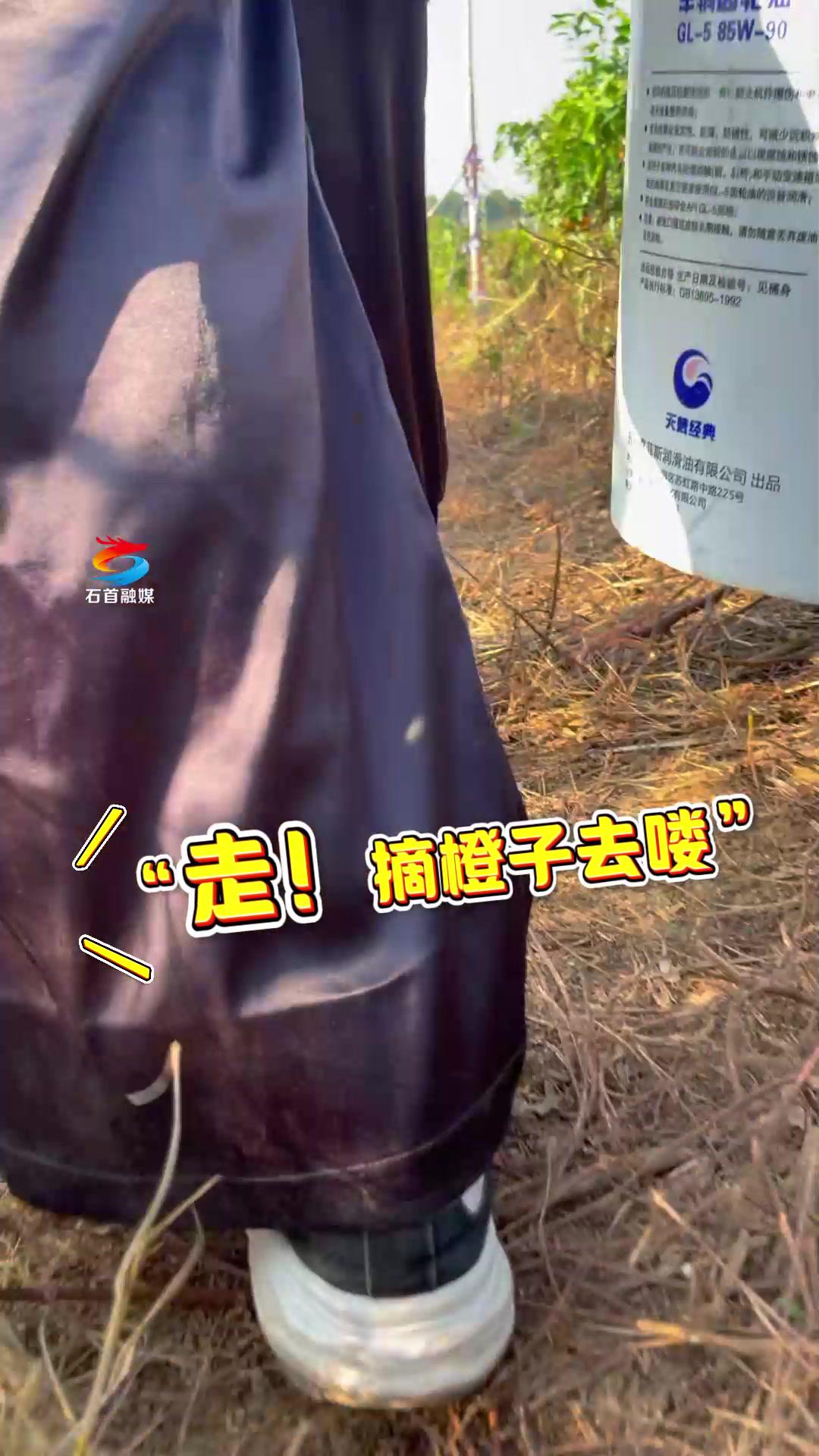 石首麻将苹果手机版苹果手机怎么下载九九山城麻将