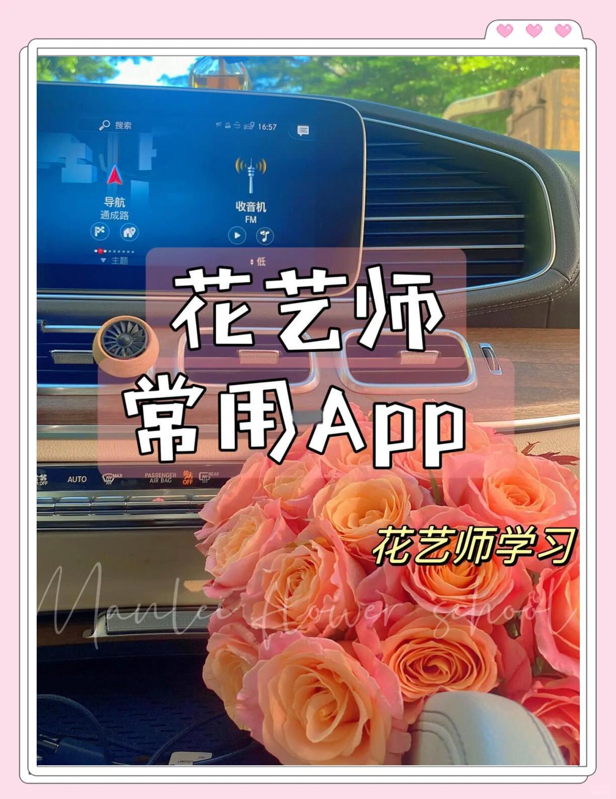 花花app苹果版苹果app涉黄有那些-第2张图片-太平洋在线下载