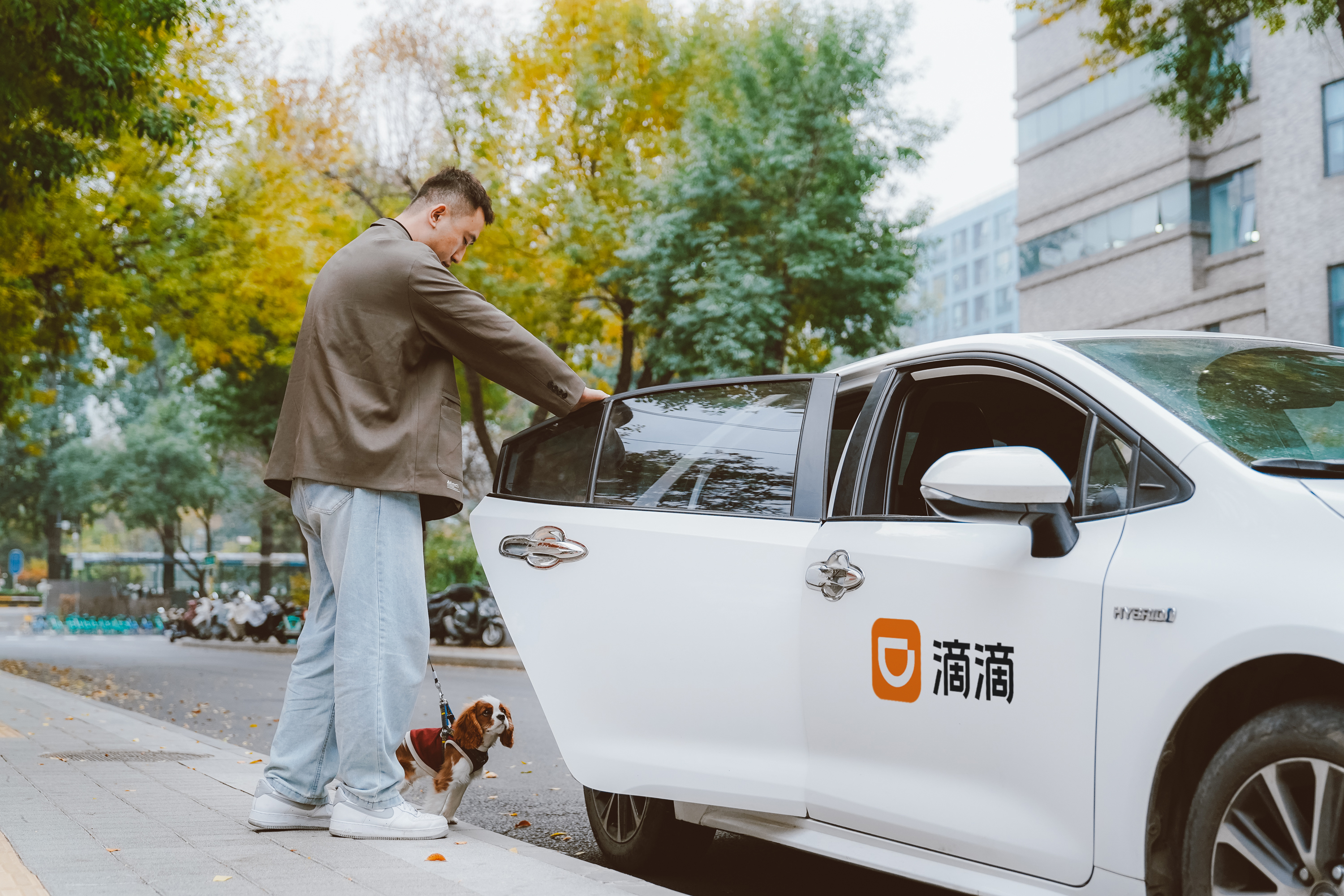苹果版滴滴专车滴滴车主ios安装包下载到电脑-第2张图片-太平洋在线下载